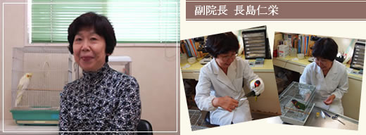 副院長 長島仁栄 副院長 長島仁栄