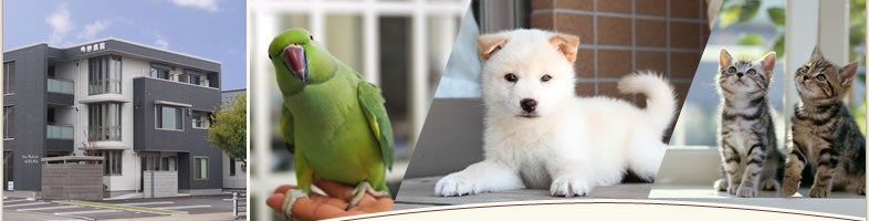 動物病院新潟市西区 犬猫小鳥の診療なら長島愛犬愛鳥病院