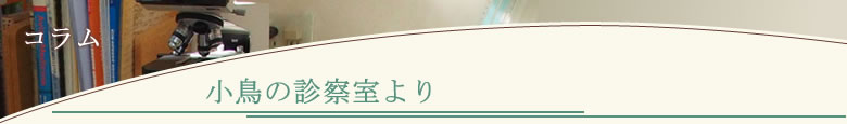 ̐f@ | a@Vs a@