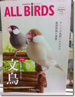 愛鳥家専門誌 ALL BIRDS オールバード 創刊